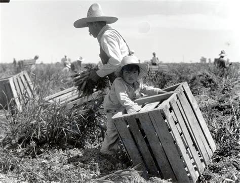 Farm Labor 1800