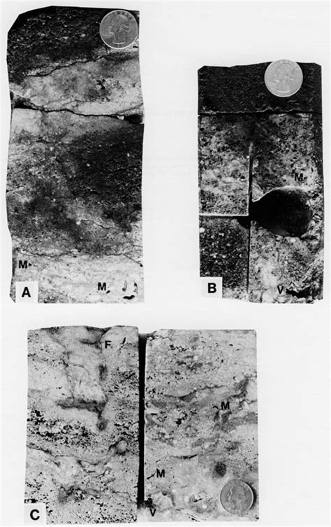 Kgs Subsurface Geology Caldwell And Boeken Middle Ordovician Viola