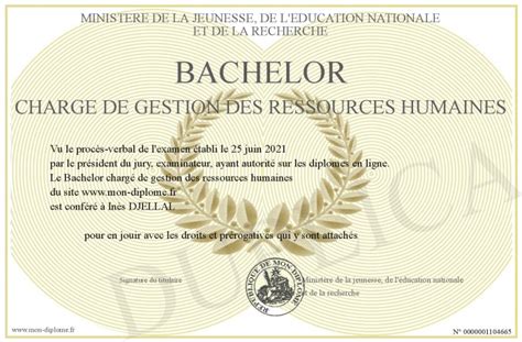 Bachelor Charge De Gestion Des Ressources Humaines