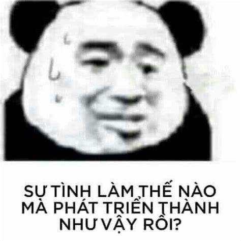 Ghim Của ☾ •𝓝𝓱𝓾𝓷𝓰• ☾ Trên Meme GẤu TrÚc Trong 2020 Meme Hài Hước Chuyện Cười