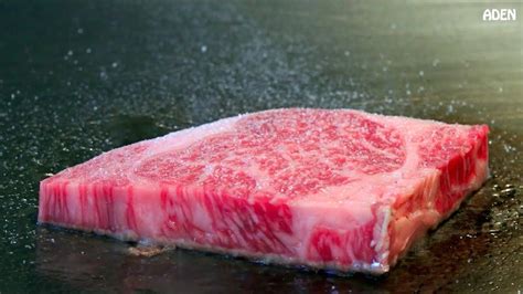 Rare Kobe Beef In Tokyo Japanese Food Teppanyaki YouTube