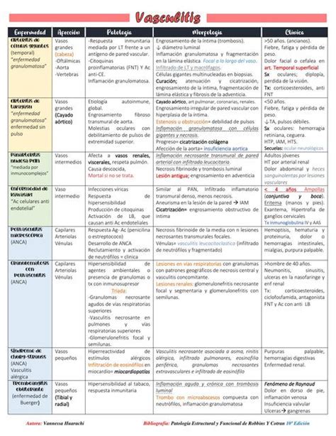 Vasculitis Patologia Vannessa Huarachi Udocz