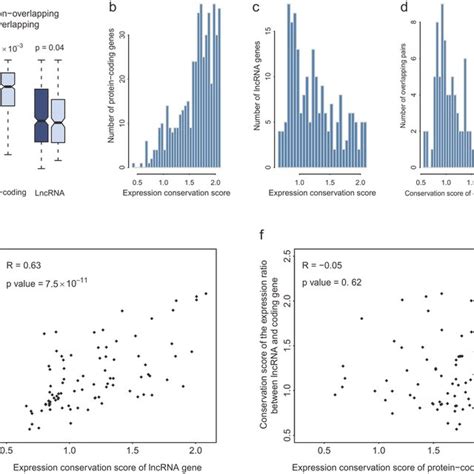 Expression Conservation Of Lncrna Coding Pairs A Expression Download Scientific Diagram