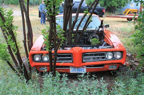 The Judge in the Tree Is Finally Free: 1969 Pontiac GTO Saved After 30 Years