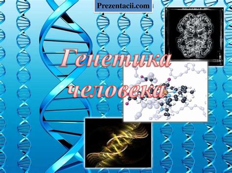 Генетика человека - презентация онлайн