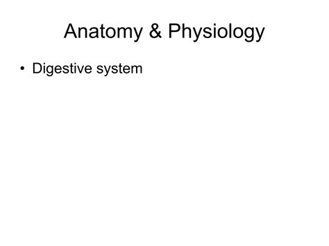 182 Anatomy Digestive System Of Human Bodyppt