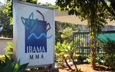 Grupo De Trabalho Estudar Fus O Do Ibama E Do Icmbio Amaz Nia Brasil