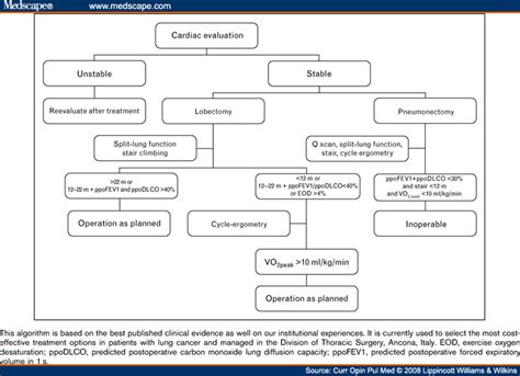 Preoperative Evaluation Of Lung Cancer