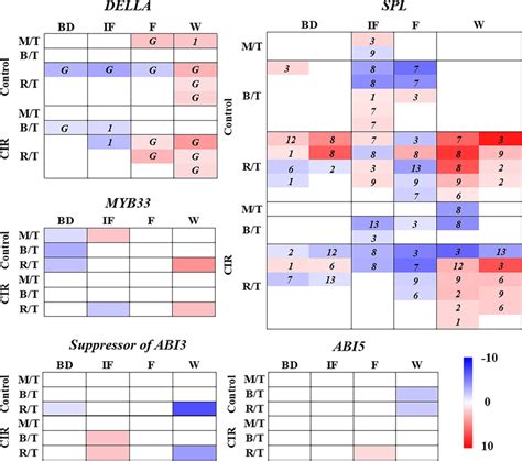 The Spatiotemporal Expression Patterns Of The Degs Involved In