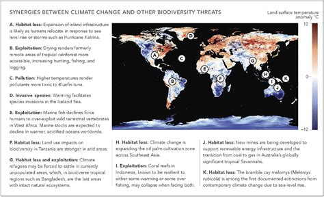 Human Responses To Climate Change Will Likely Determine The Fate Of