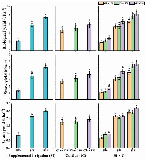 Naked Barley Yields Of Biological Yield T Ha −1 Straw Yield T Ha