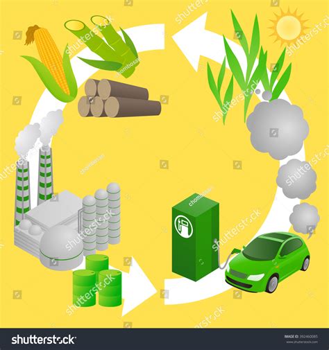 Biofuel Life Cycle Biomass Ethanol Diagram Stock Vector 392460085