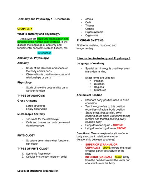 Anaphy Notes All About The Basics Of Anatomy And Physiology Anatomy