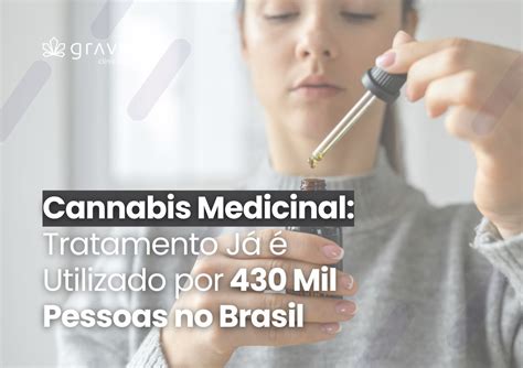 Cannabis Medicinal Tratamento Já é Utilizado por 430 Mil Pessoas no