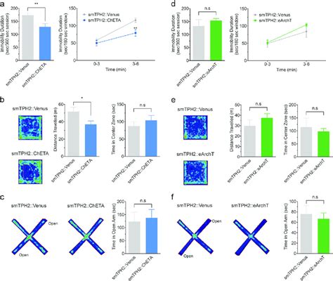 Specific Stimulation Of The Drn Serotonergic Neurons Induces Download Scientific Diagram