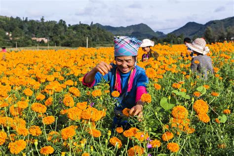 助力对口地区脱贫攻坚，在精准扶贫中彰显上海力量与温度 报告热词，上海实践