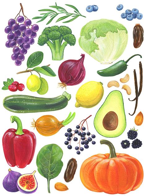 Fruits And Vegetables Drawing at PaintingValley.com | Explore ...