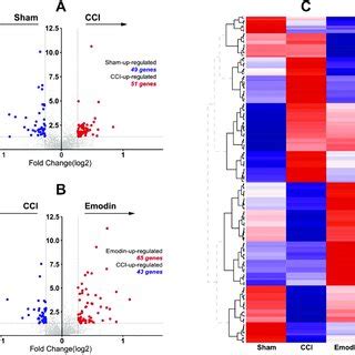 Volcano Plot And Heat Map Of Differentially Expressed Proteins From