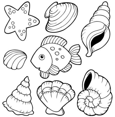 Coloriage Coquillage Imprimer Sur Coloriageenfant