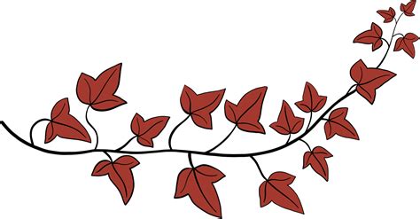 Simplicity Ivy Freehand Drawing Flat Design Png