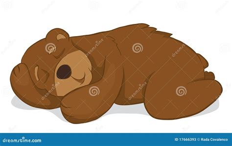 Sleeping Bear Stock Vector Image Of Wildlife Cartoon