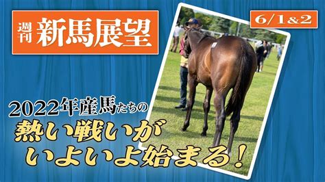 【週刊新馬展望】2024年新馬戦がいよいよスタート！最初からサンデーの良血馬がスタンバイ【節約大全】vol1261 Youtube