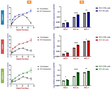 Cancers Free Full Text P21 Overexpression Promotes Cell Death And