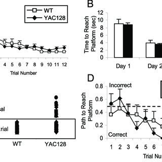 YAC128 Mice Show Decreased Intersession Open Field Habituation The