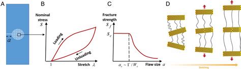 Designing Toughness And Strength For Soft Materials PNAS