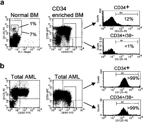 Cd123 Expression On Normal And Leukemic Hematopoietic Cells Download Scientific Diagram