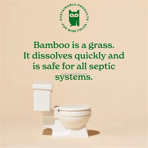 Bamboo Flushable Wipes Septic Safe Eco Friendly Biodegradable Unscented