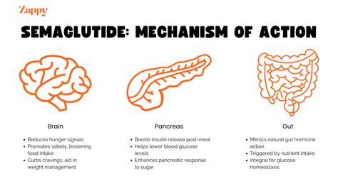 Semaglutide Tips And Tricks For Starters Zappy Health