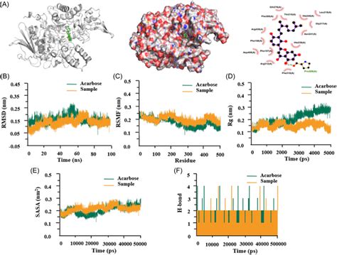 Schematic Diagram Of Molecular Docking And Molecular Dynamics A The Download Scientific