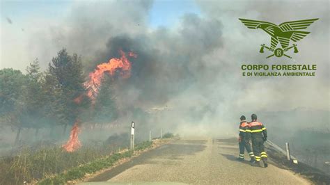 Incendi Nelle Campagne Di Sarule E Orgosolo Sul Posto Uomini E Mezzi