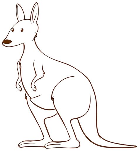 Kangaroo Drawing Images - Free Download on Freepik