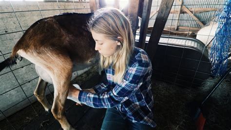 Naked Women Milking Cum Telegraph