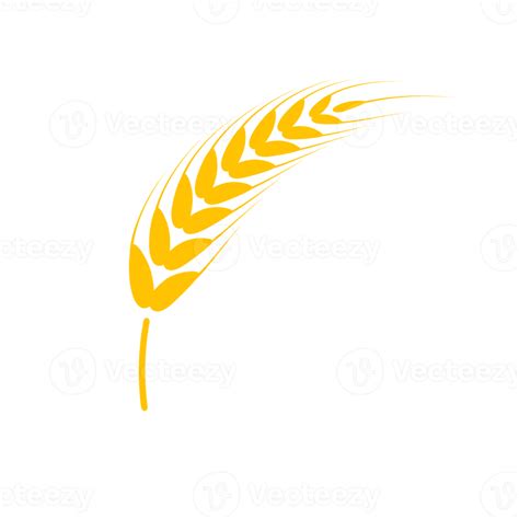 Ears Of Wheat Whole Grains For Making Bread 14488957 PNG