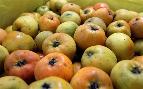 Conoce Los Beneficios De Tomar Ponche De Frutas Casero El Informador