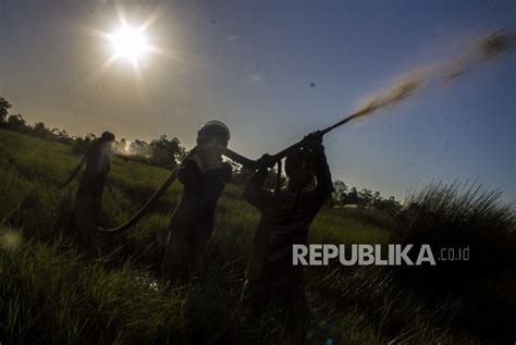 Babel Waspadai Kebakaran Hutan Di Titik Panas Republika Online