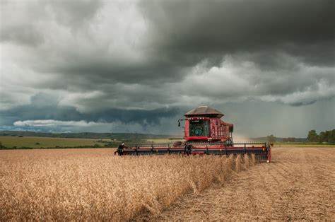 30 milhões de toneladas Goiás terá novo recorde na produção de