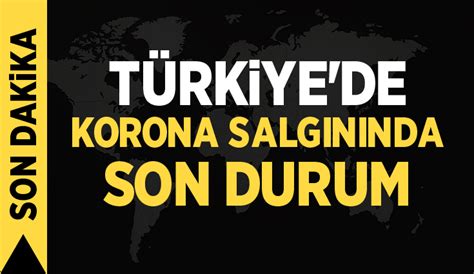 Türkiye de Vaka Hasta ölü sayısı ve son durum açıklandı FİB HABER