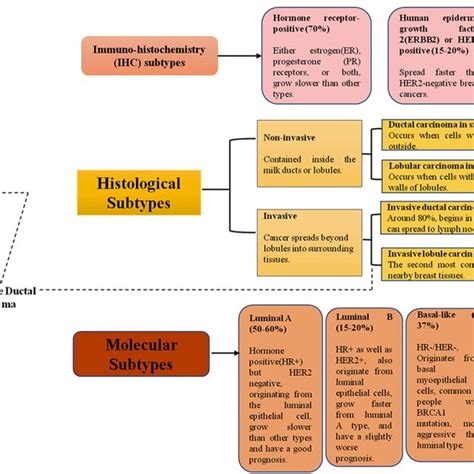 Different types of breast cancer | Download Scientific Diagram