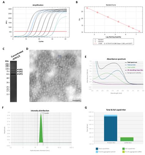 Author Spotlight Improved Method For Production And Purification Of Adeno Associated Viral