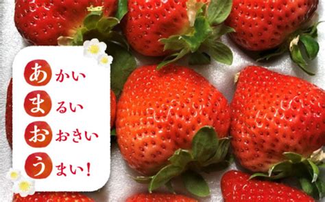 【2月以降発送】 あまおう 贈答用 エクセレント 430g以上×1箱 《豊前市》【内藤農園】果物 いちご Vab010 福岡県豊前市