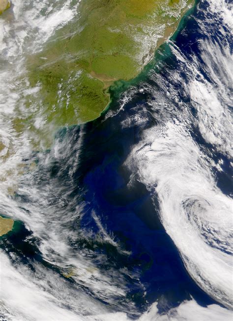 Nasa Visible Earth Seawifs Spring Bloom In The South Atlantic