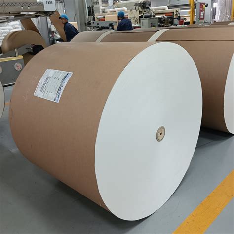 Pe Coated Roll For Paper Cups Food Packaging Waterproof Pack Paper