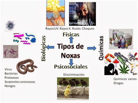 BIOLOGIA 5TO AÑO Clasificación de Noxas y vectores