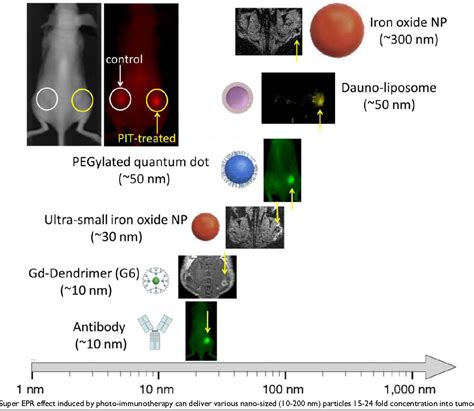 Figure From Improving Conventional Enhanced Permeability And