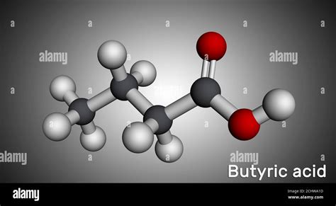 Butyric Acid Butanoic Acid Molecule Butyrates Or Butanoates Are Salts