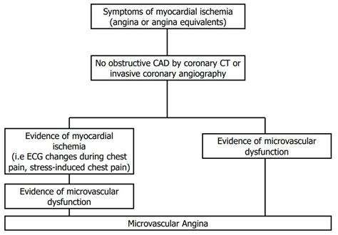 JCM Free Full Text Coronary Microvascular Dysfunction PET CMR And